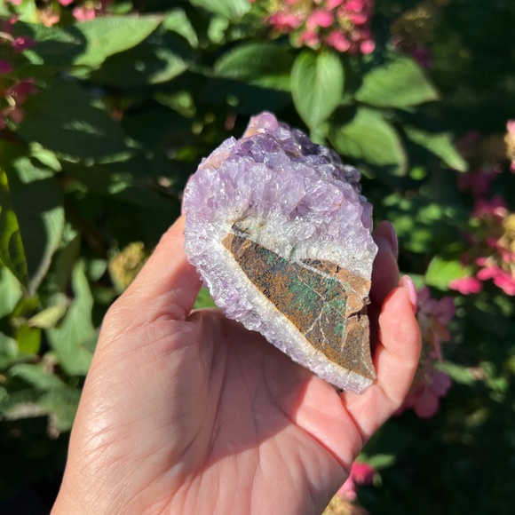 Amethyst (5) cluster | crystal - Picture 3 of 11